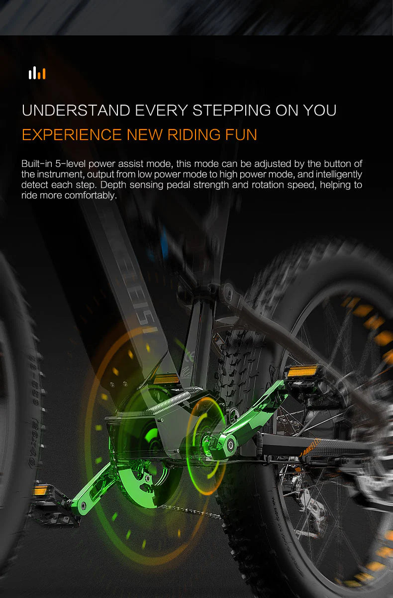 LANKELEISI RV800 Plus 750W Mountain E-Bike