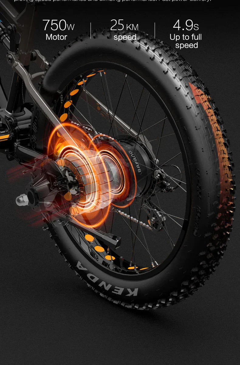 LANKELEISI RV800 Plus 750W Mountain E-Bike