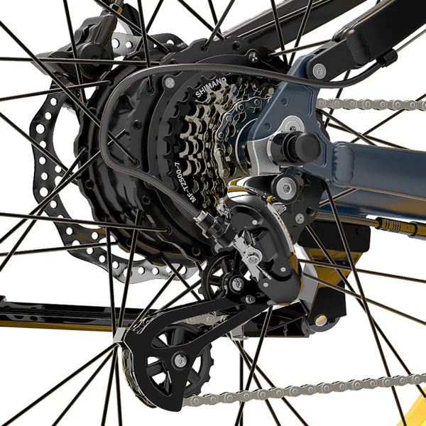 LANKELEISI RV700 1000W Mountain E-bikeMy Store£1389.00
